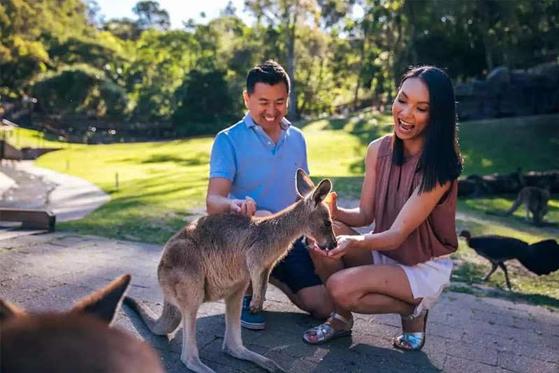 Currumbin Wildlife Sanctuary photo 3