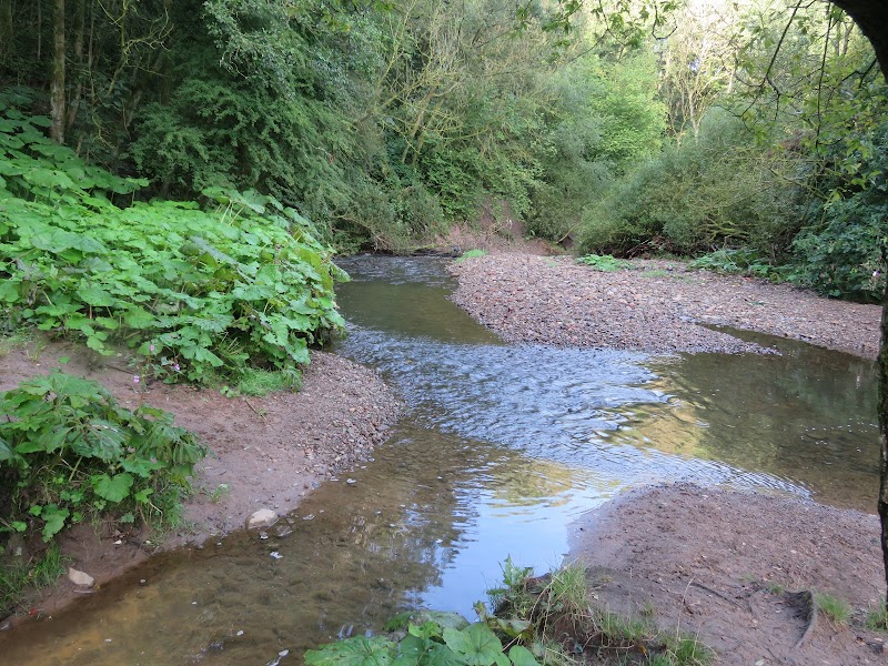 Daisy Nook Country Park