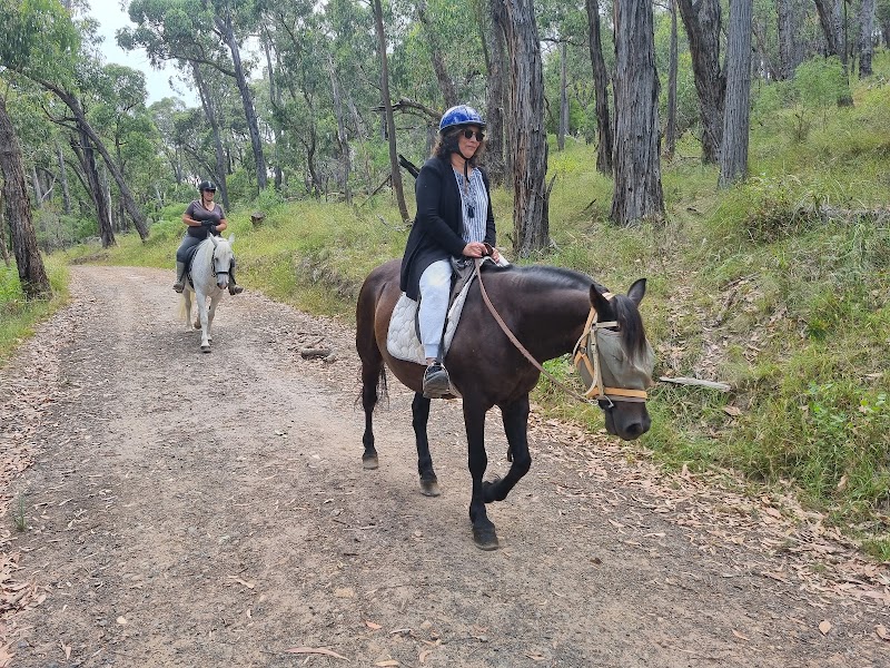 Dandenong Ranges Horse Trail Rides