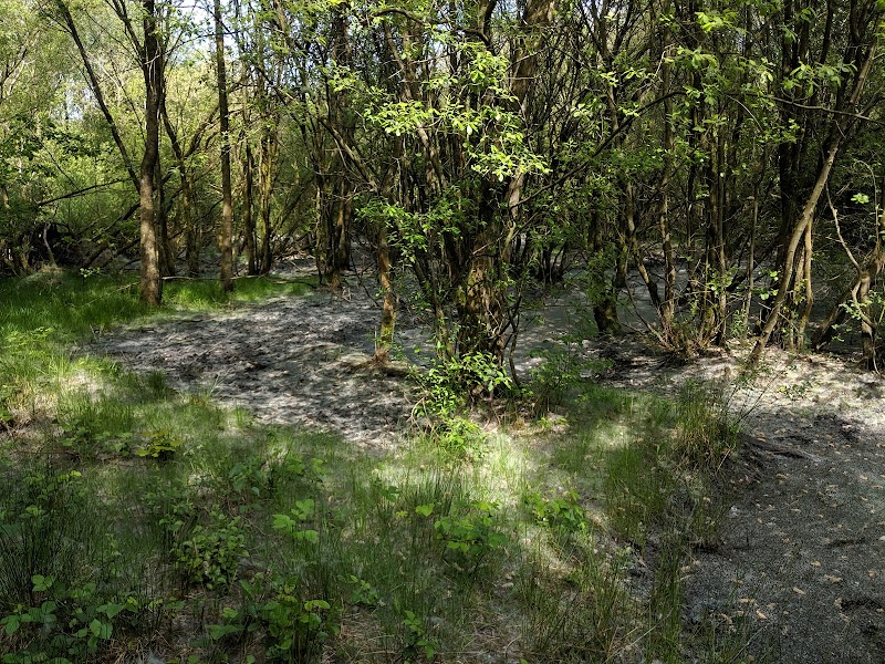 Darcy Lever Gravel Pits