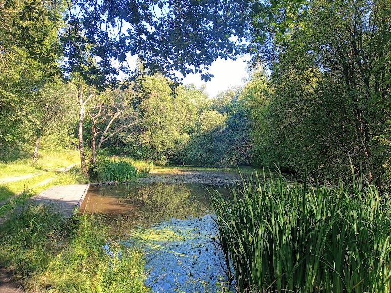 Darcy Lever Gravel Pits photo 2