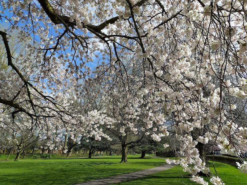 De Quincey Park photo 2