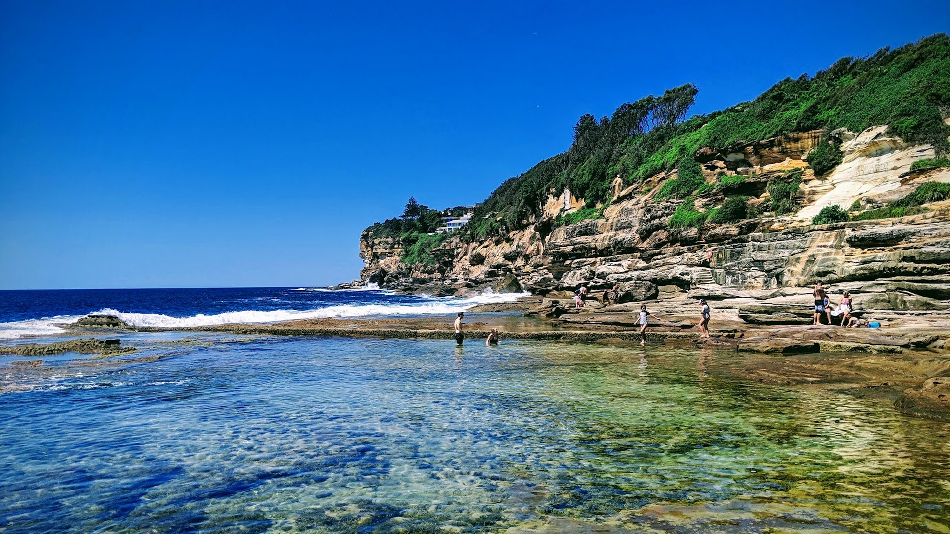 Dee Why Rockpool photo 3