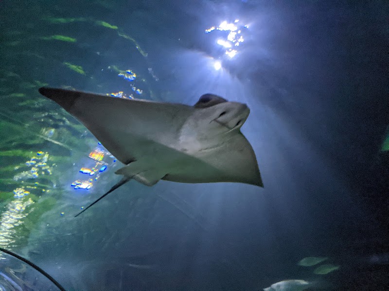 Deep Sea World photo 2