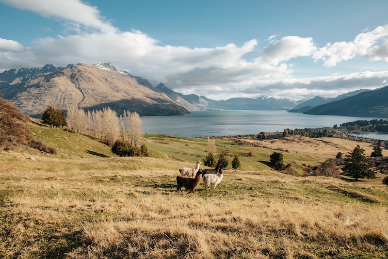 Deer Park Heights Queenstown photo 2