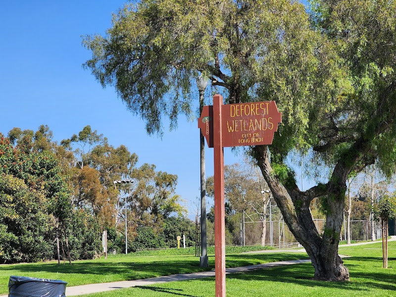 DeForest Park photo 3