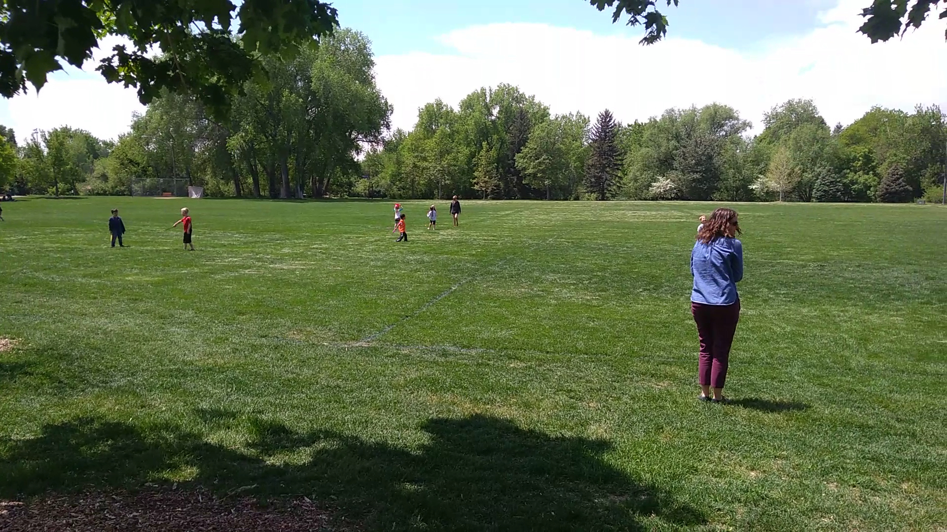 deKoevend Park photo 2