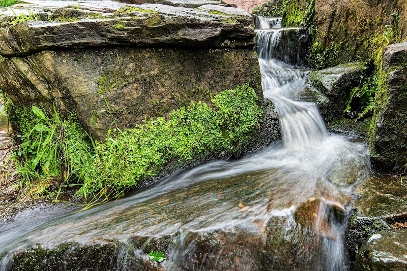 Delph Waterfall And Nature Trail