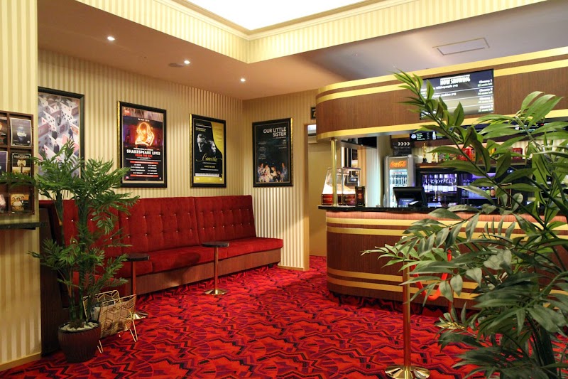 Deluxe Cinemas at The Tannery photo 3