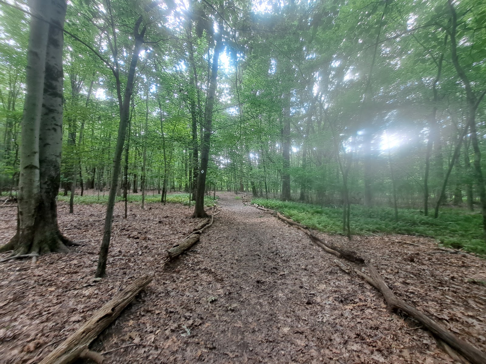Demarest Nature Center photo 2