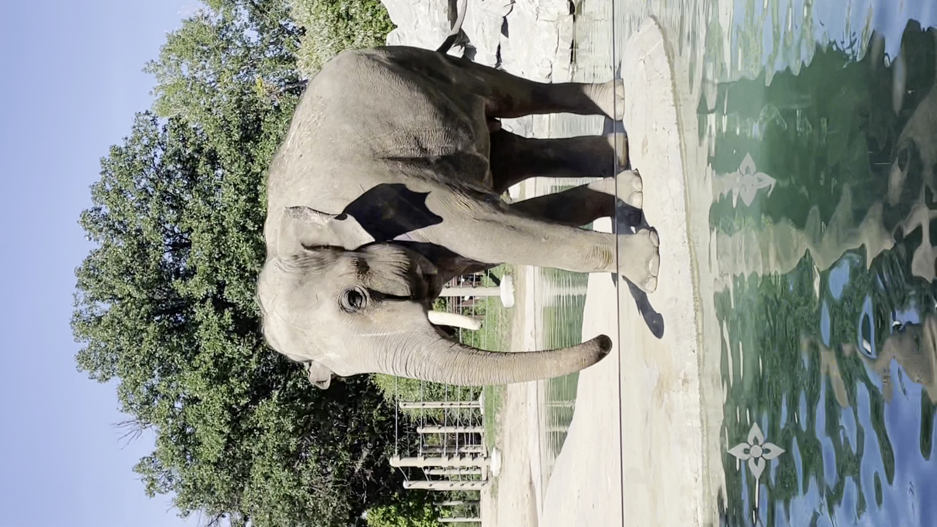 Denver Zoo photo 2