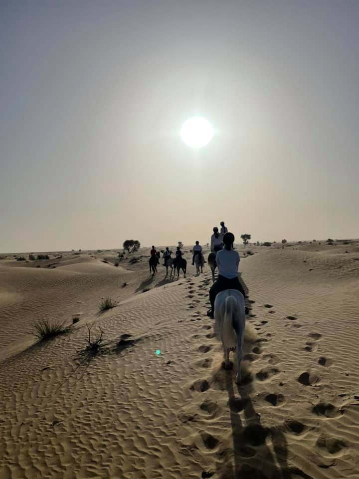 Desert Hack Riding Club photo 2