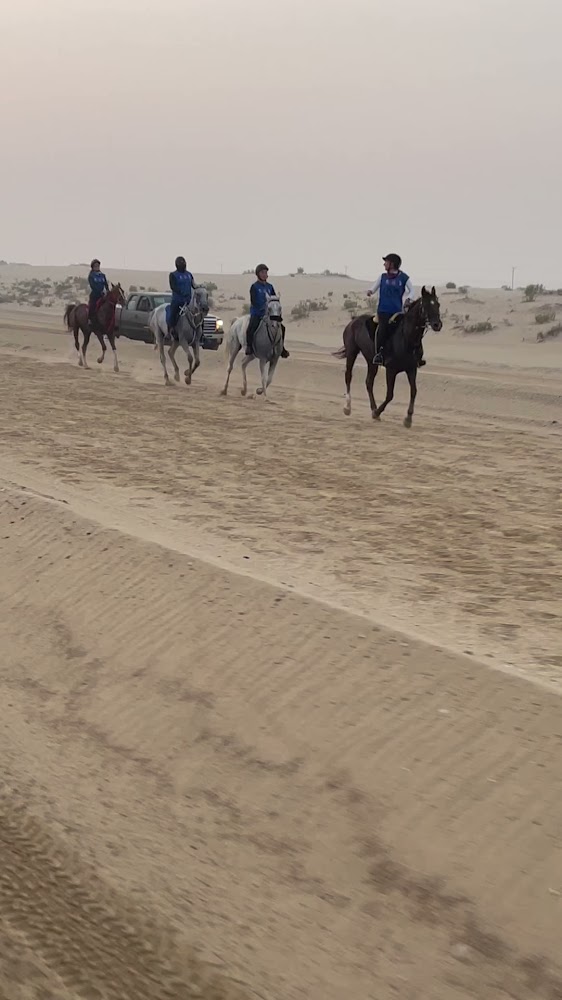 Desert Hack Riding Club photo 3