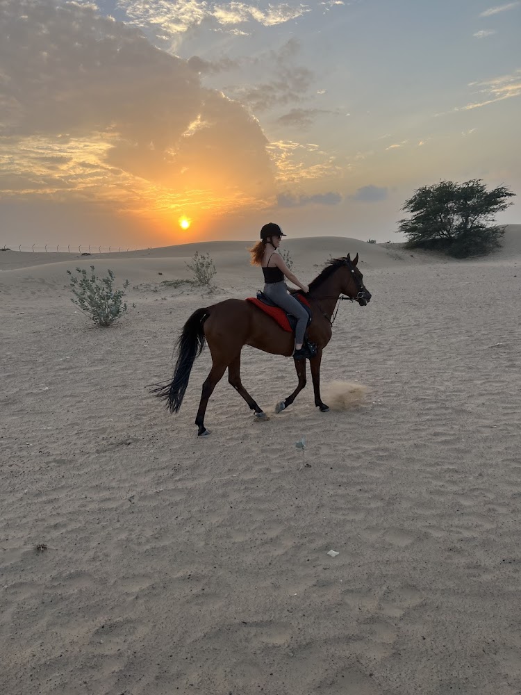 Desert Hack Riding Club photo 4