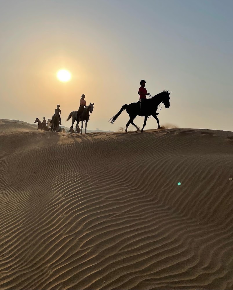 Desert Hack Riding Club photo 5