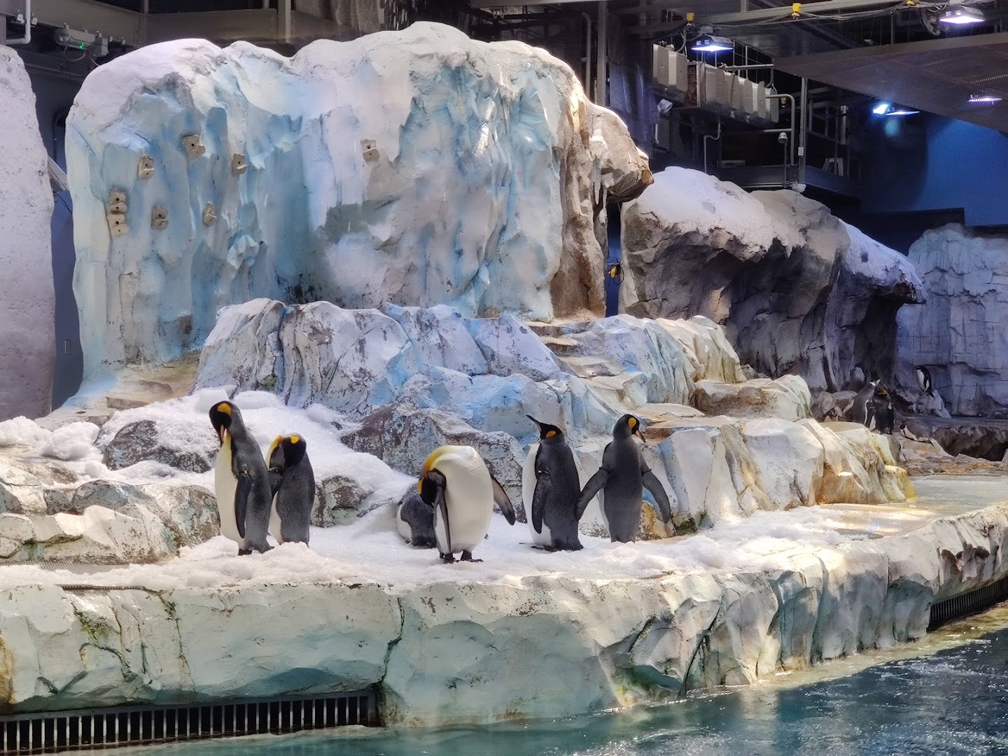Detroit Zoo