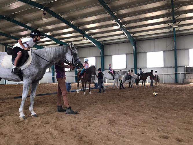 Dhabian Equestrian Club