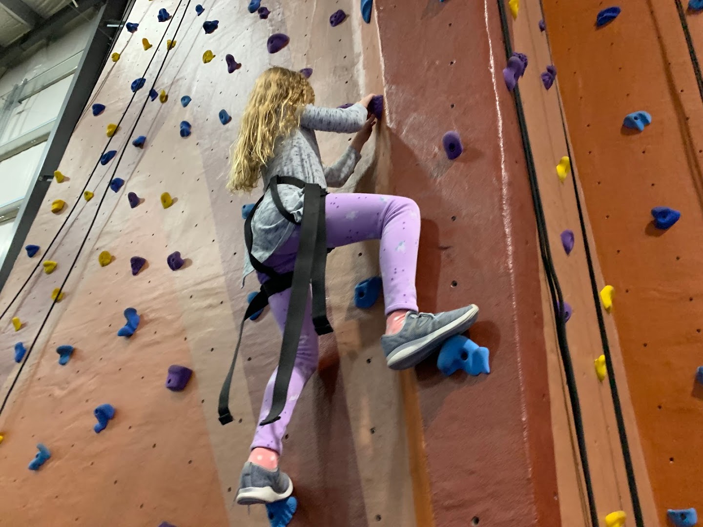 Diamond Rock Gym photo 2