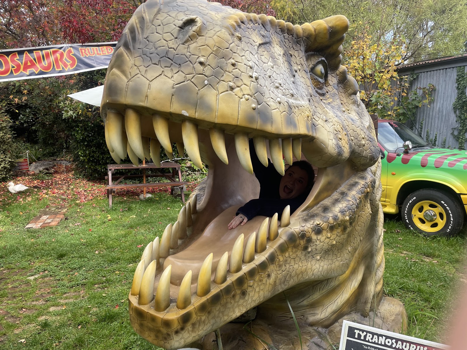 Dinosaur House photo 3