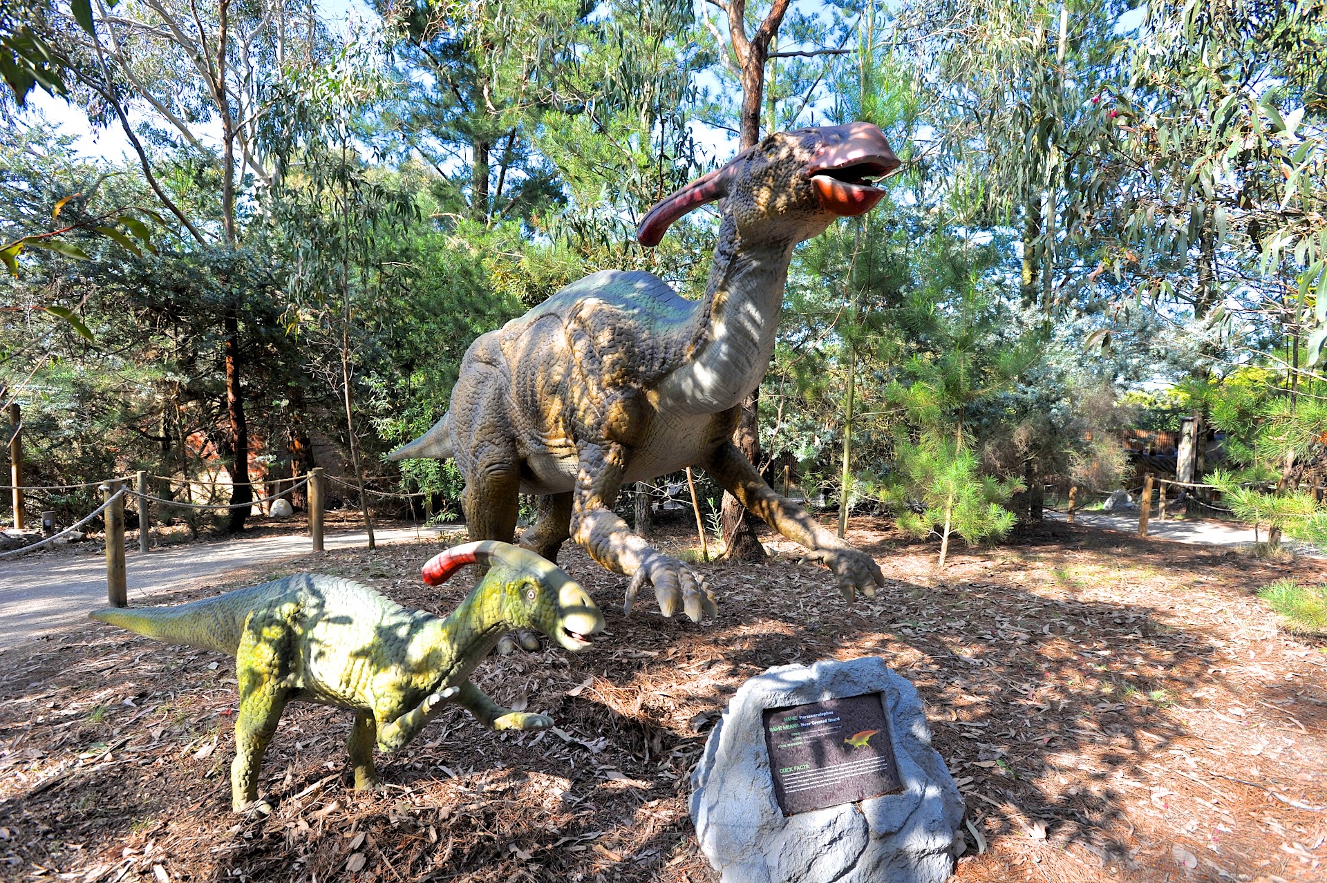 Dinosaur World photo 3
