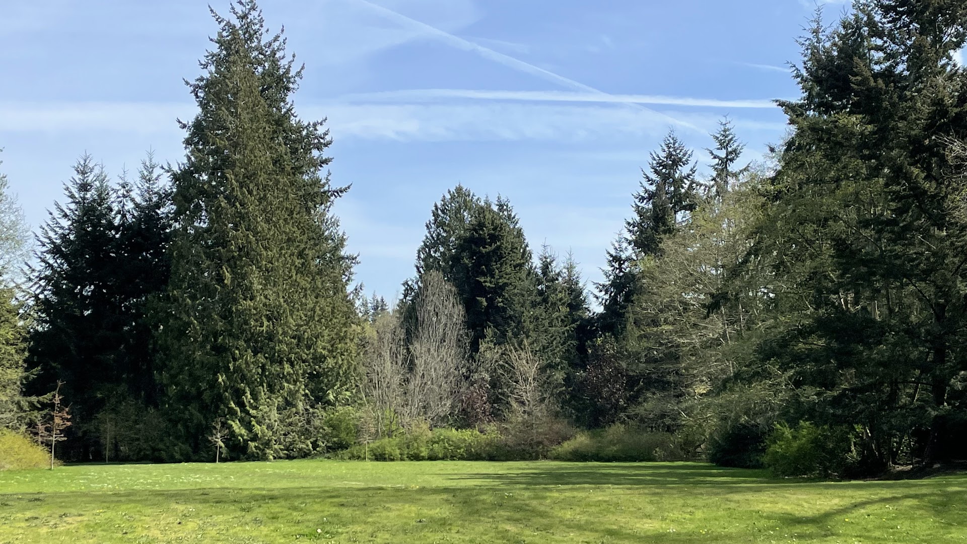Discovery Park Playground photo 2