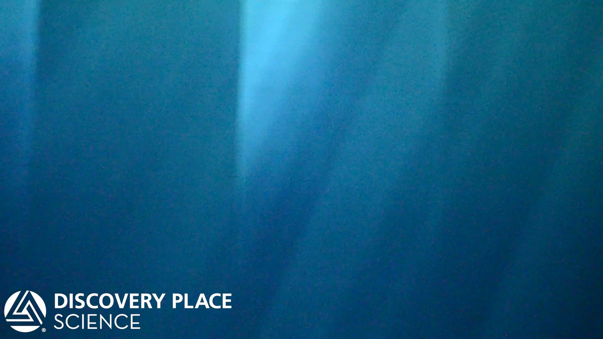 Discovery Place Science photo 2