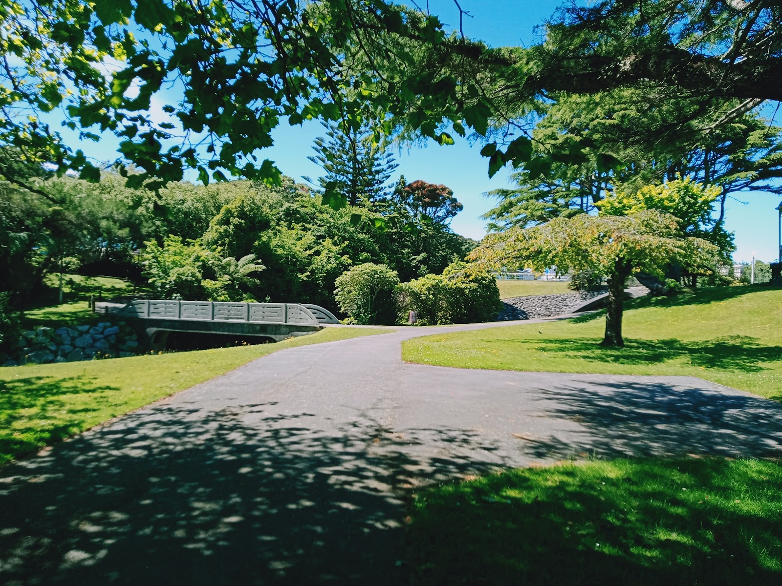 Dixon Park Playground photo 2