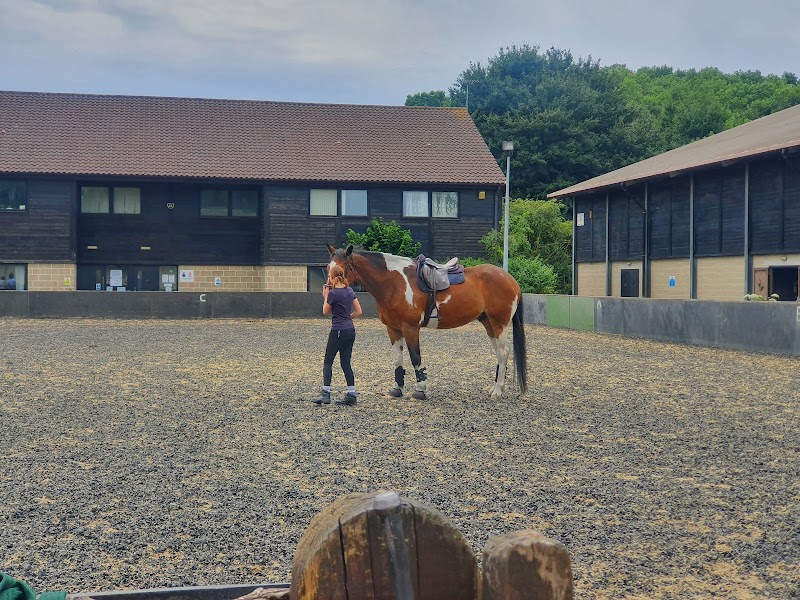 Docklands Equestrian Centre photo 2