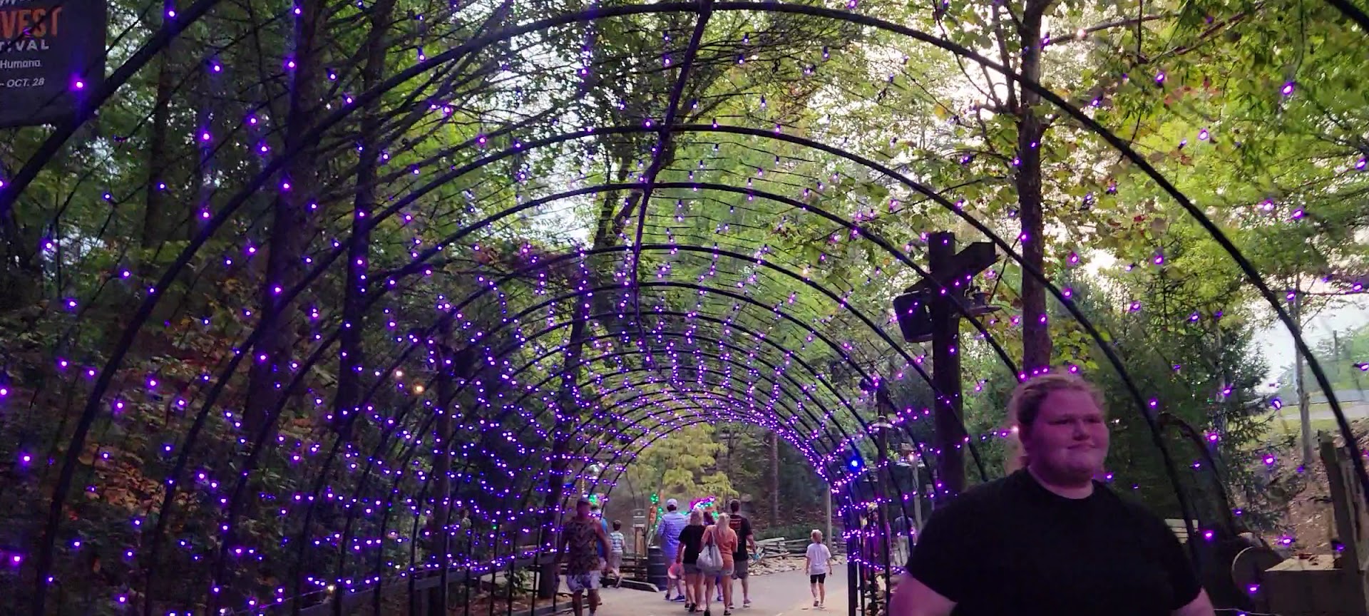 Dollywood photo 2