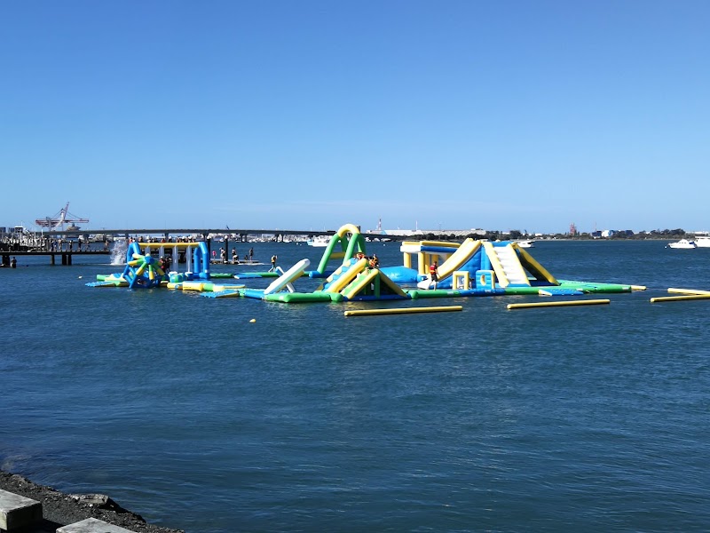 Dolphin Blue