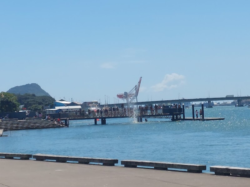 Dolphin Blue photo 2