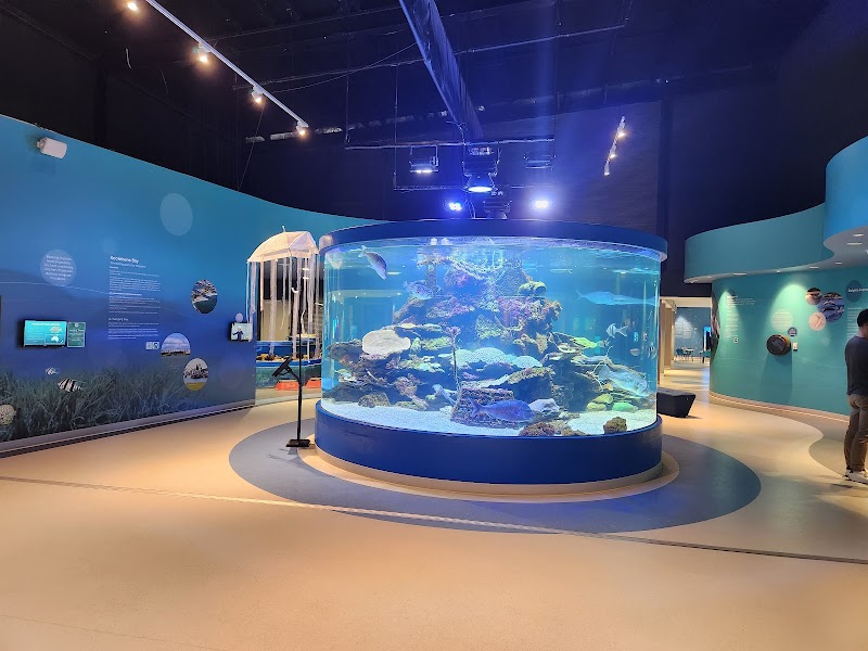 Dolphin Discovery Centre photo 3