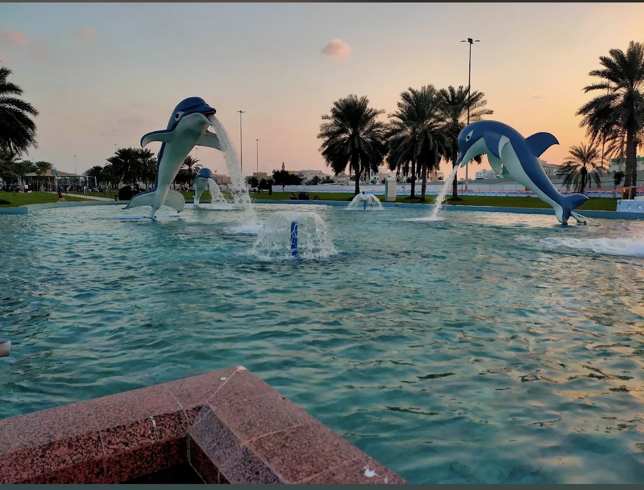Dolphin Park photo 2