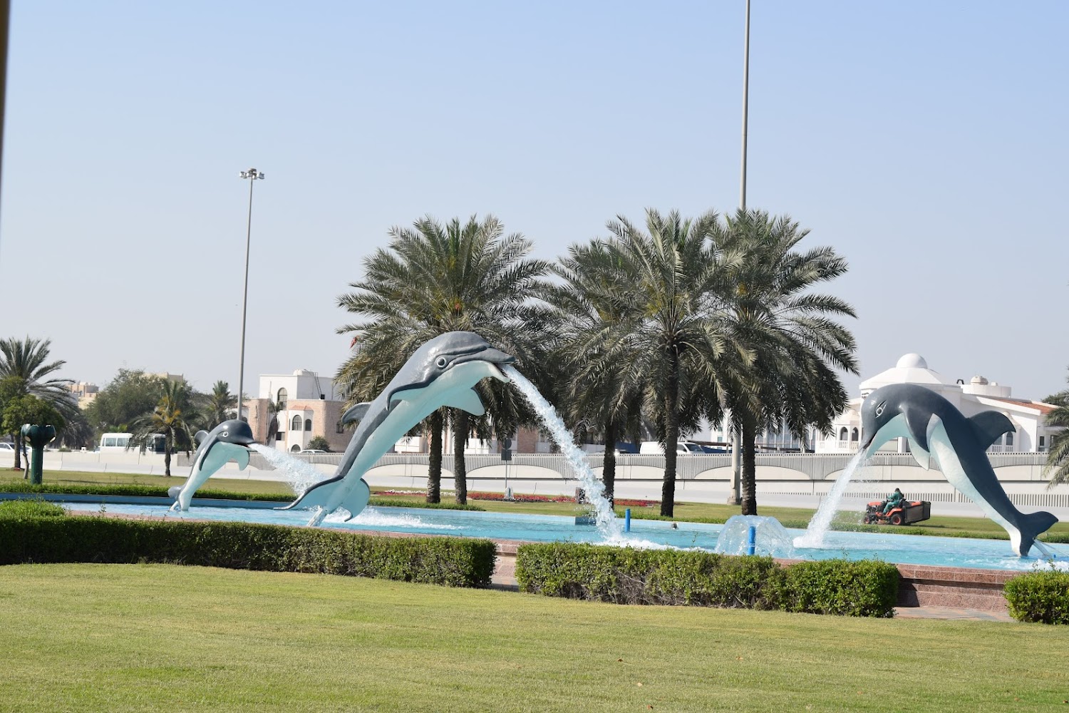 Dolphin Park photo 3