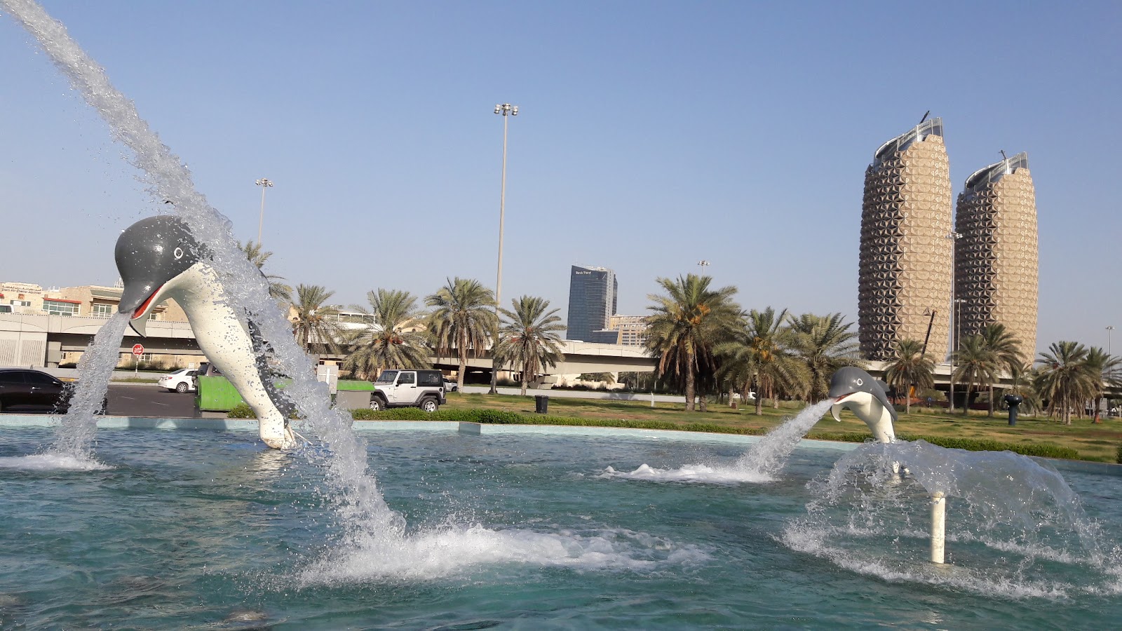 Dolphin Park photo 4
