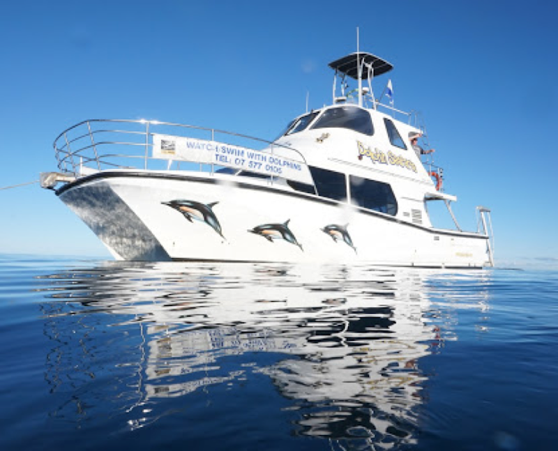 Dolphin Seafaris NZ Ltd photo 3