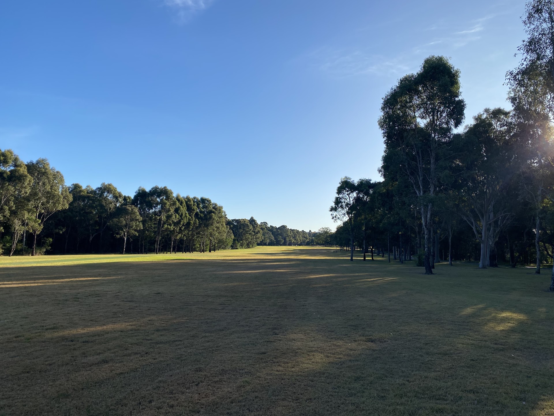 Domain Creek Playground photo 3