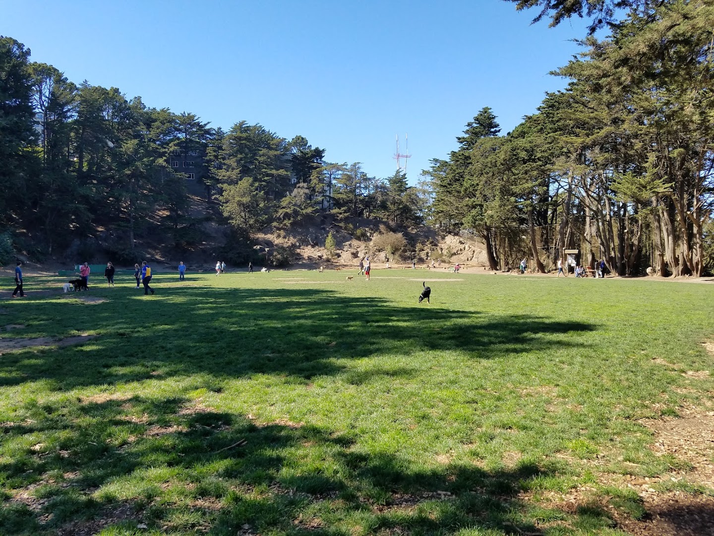 Douglass Playground