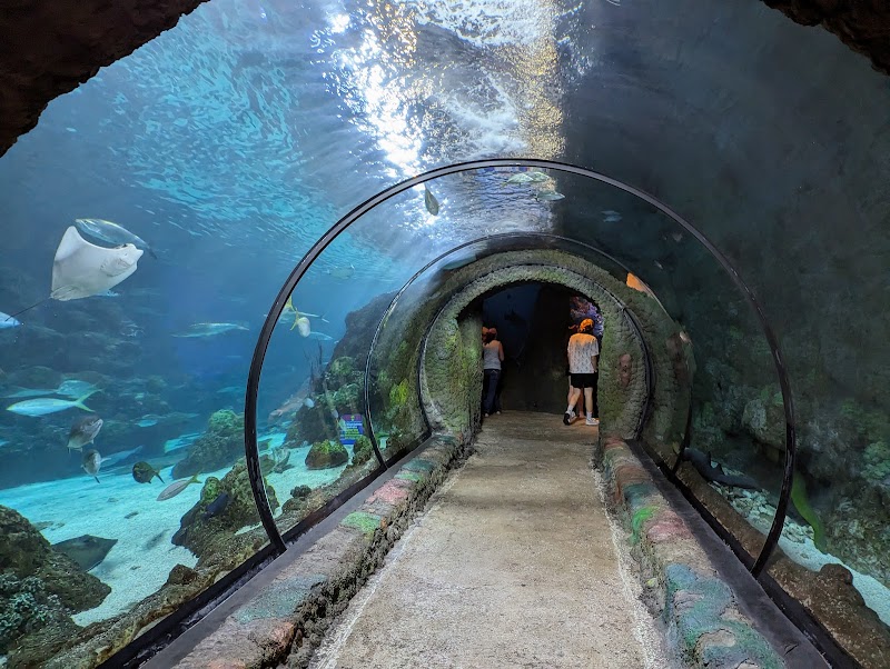 Downtown Aquarium
