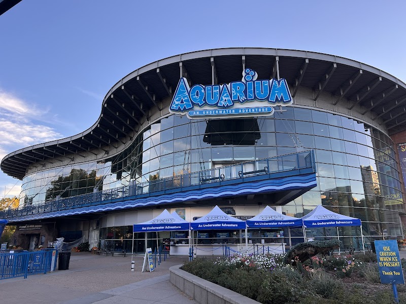 Downtown Aquarium photo 2
