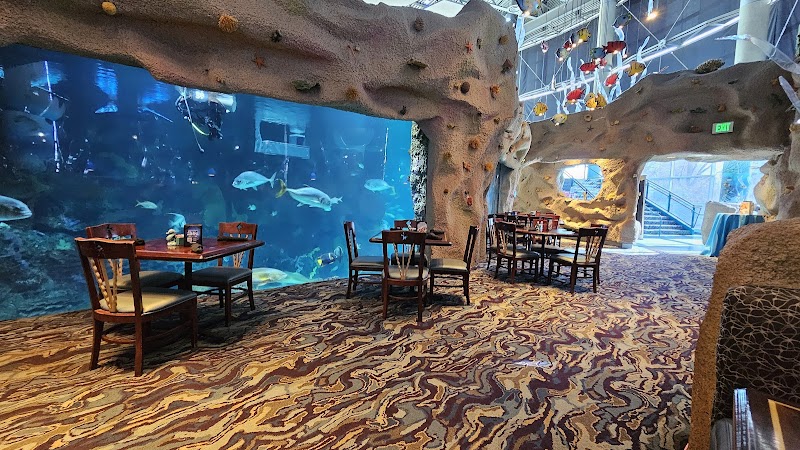 Downtown Aquarium photo 3