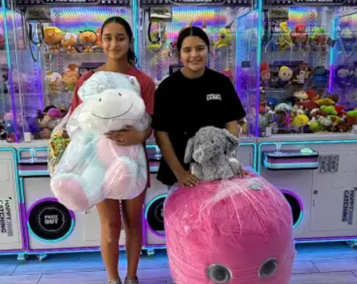 DragonClaw - Claw Machine Arcade photo 2