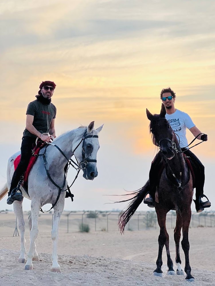 Dream stable photo 2