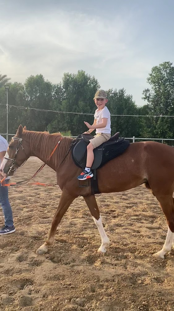 Dream stable photo 3