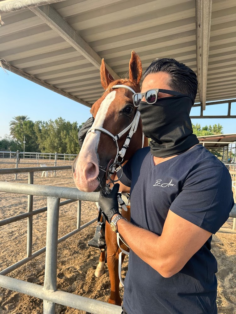 Dream stable photo 4