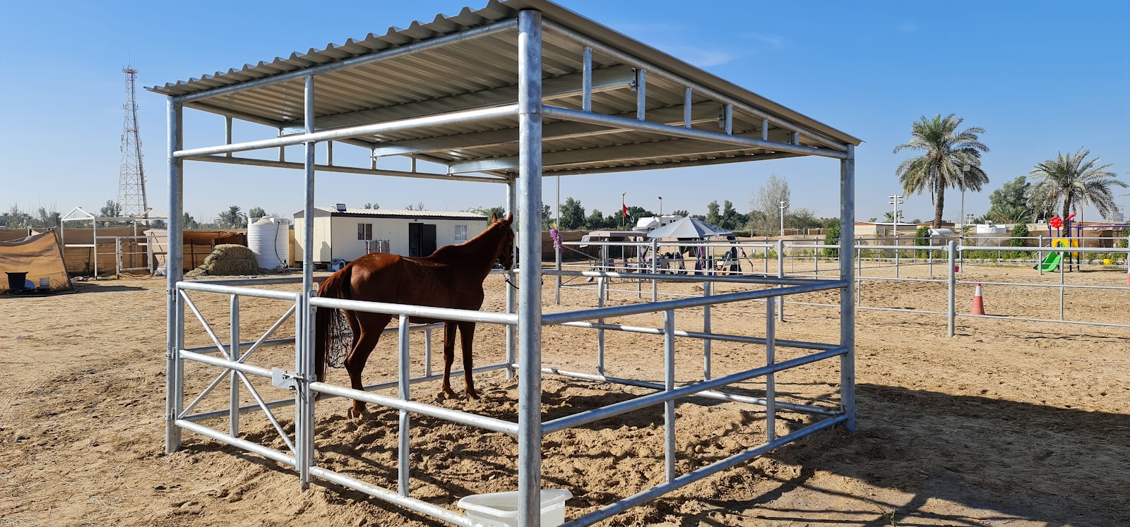 Dream stable photo 5