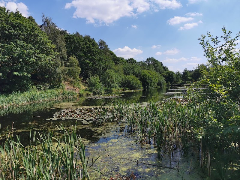 Drinkwater Park photo 2