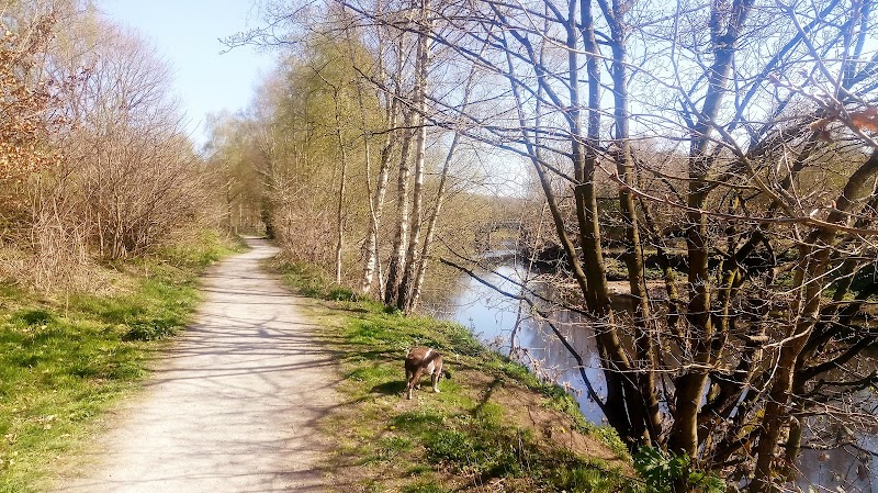 Drinkwater Park photo 3