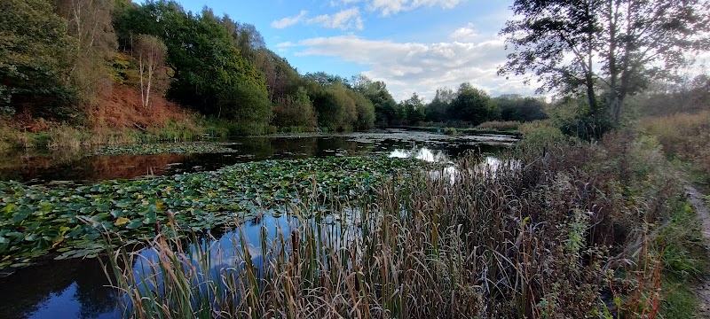 Drinkwater Park Nature reserve