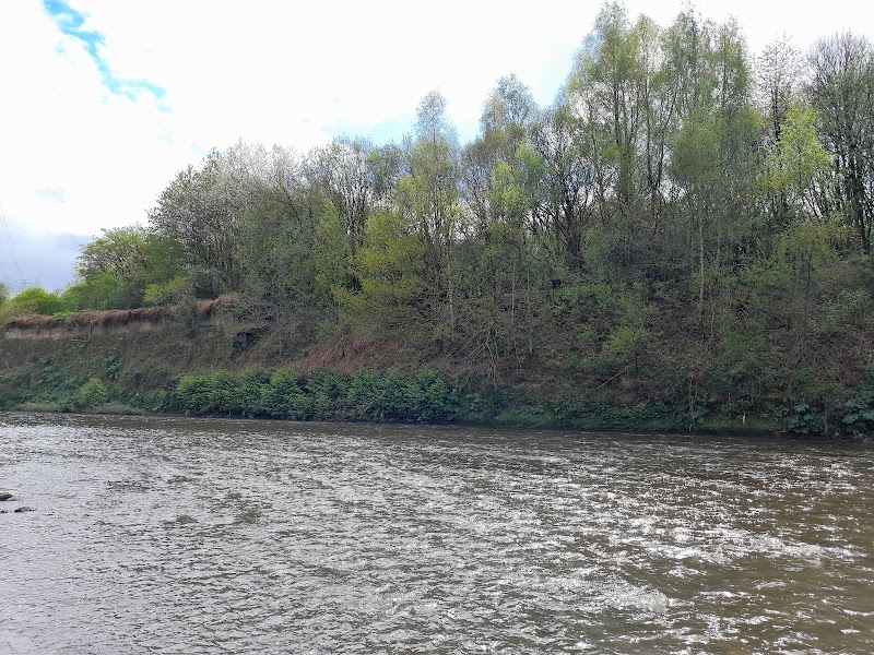 Drinkwater Park Nature reserve photo 2